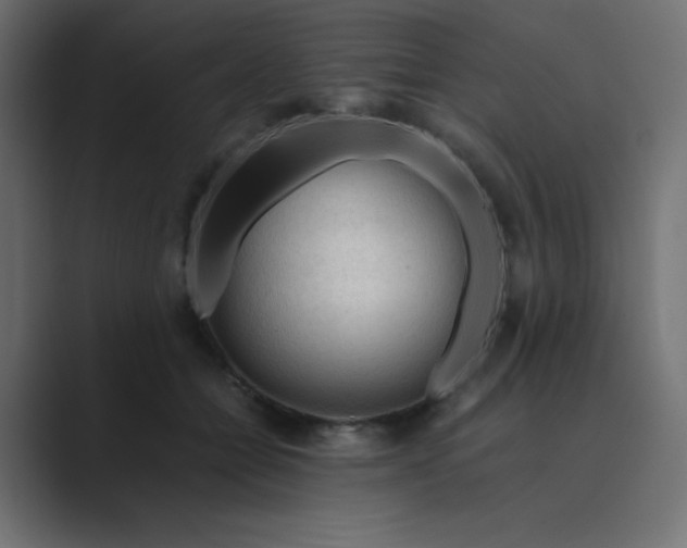 X0000089360558200706291043