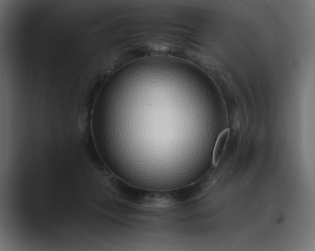 X0000089360559200706291043