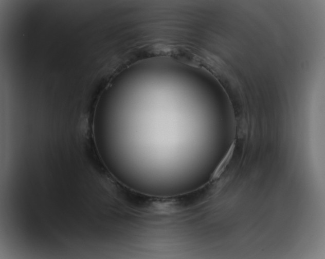 X0000089360560200706291043