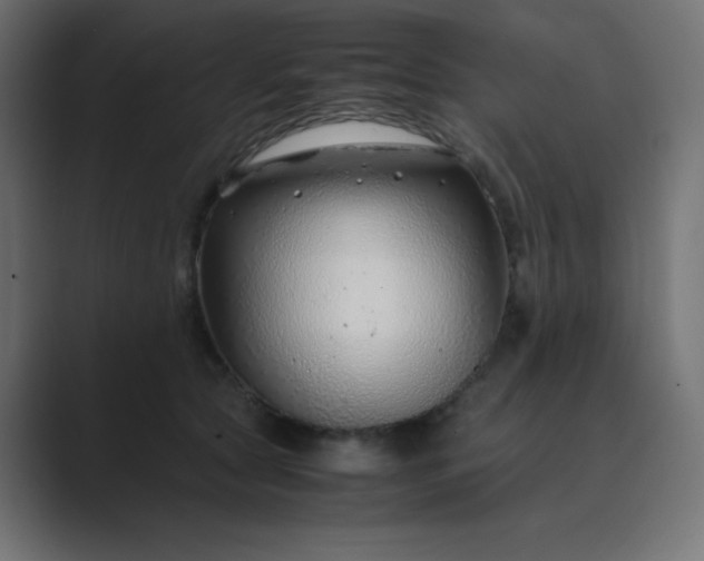 X0000089360561200706291044