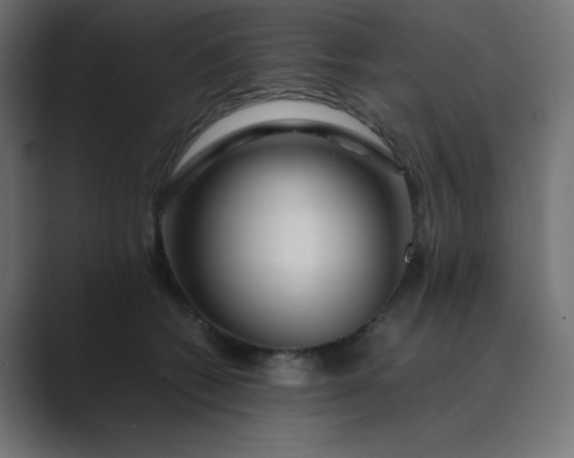 X0000089360562200706291044