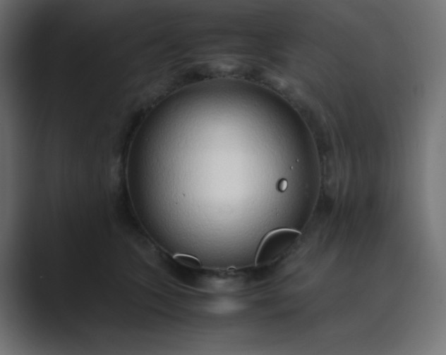 X0000089360563200706291044