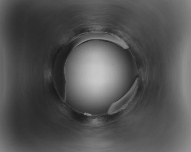 X0000089360564200706291044