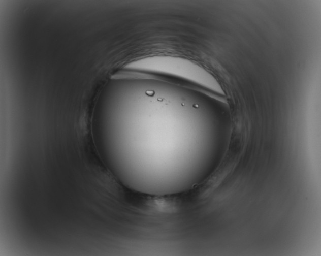 X0000089360565200706291044