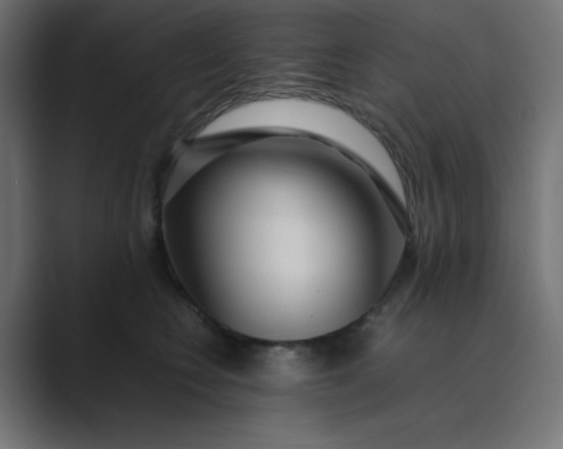 X0000089360566200706291044