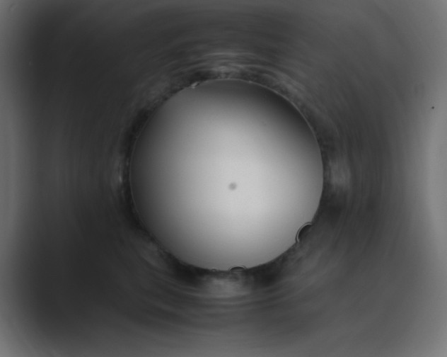 X0000089360567200706291044