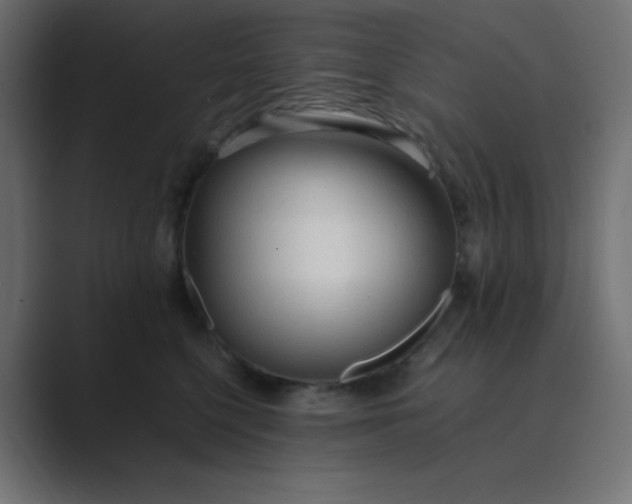 X0000089360568200706291044