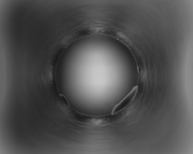 X0000089360570200706291044