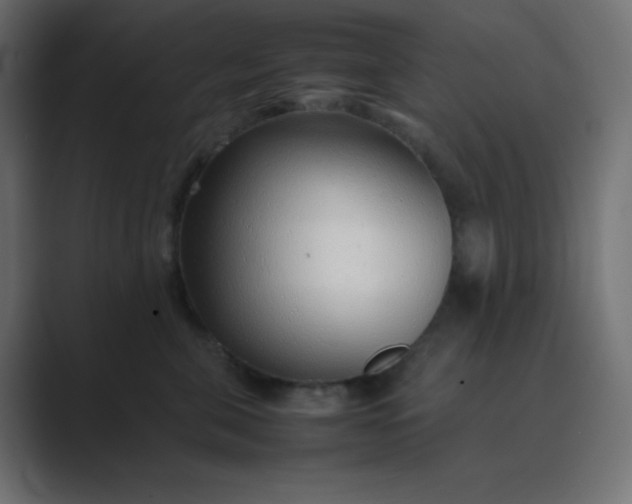 X0000089360571200706291044