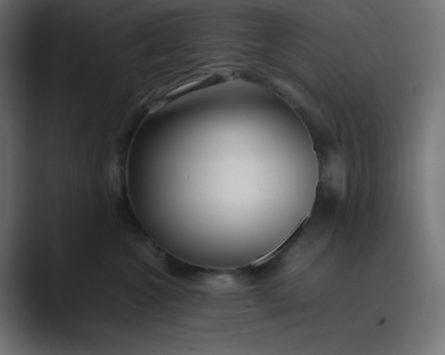 X0000089360572200706291044