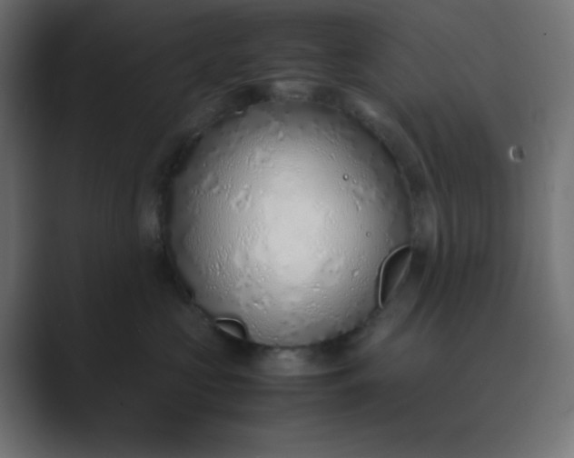 X0000089360573200706291044