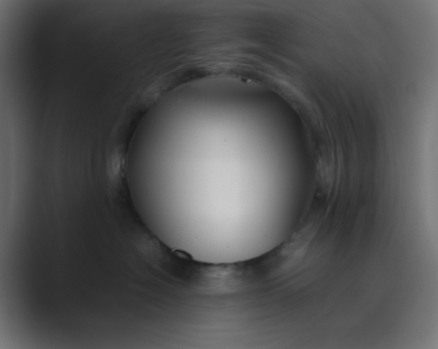 X0000089360574200706291044