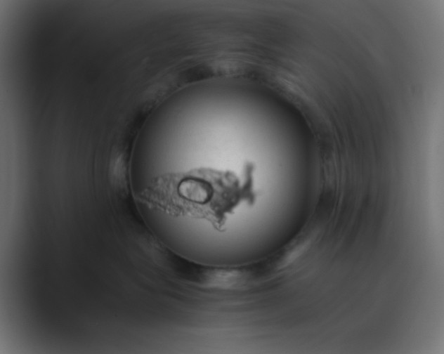 X0000089360575200706291044