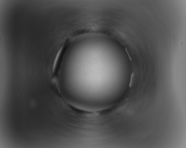 X0000089360576200706291044