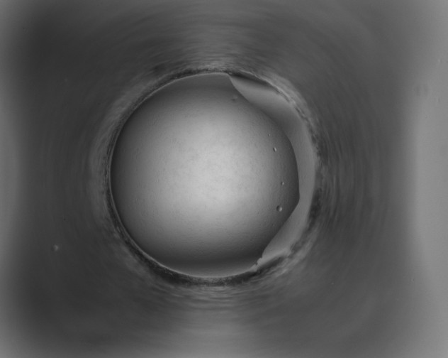 X0000089360577200706291043