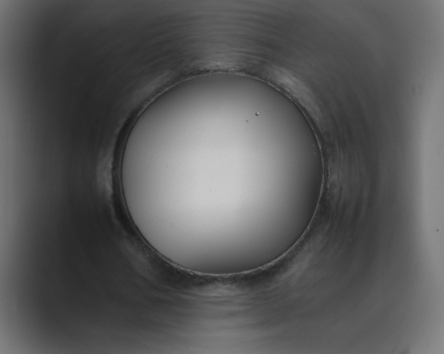 X0000089360578200706291043