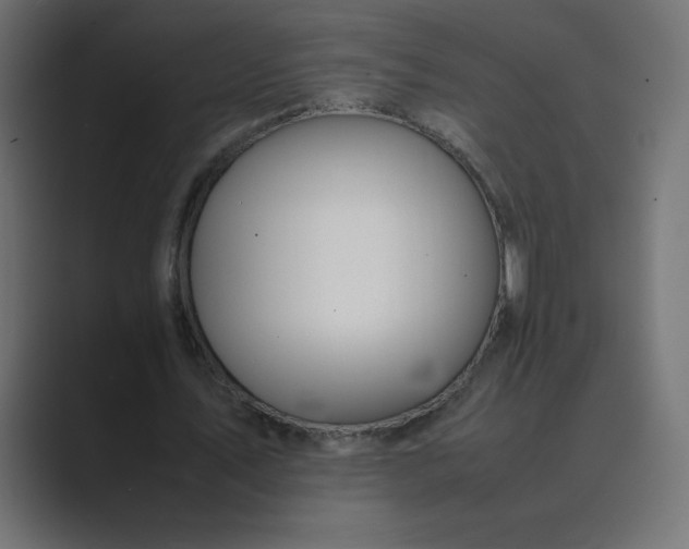 X0000089360579200706291043