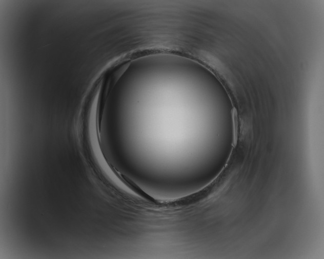 X0000089360580200706291043