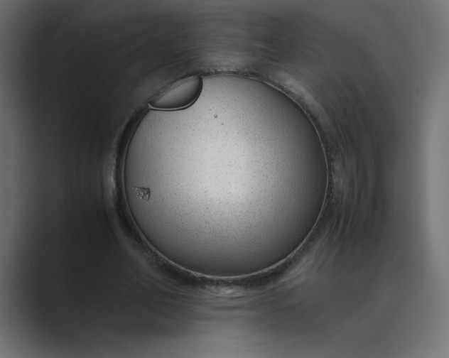 X0000089360582200706291043