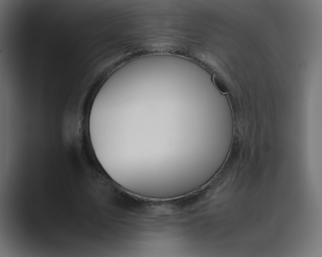 X0000089360583200706291043