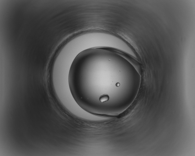 X0000089360584200706291043