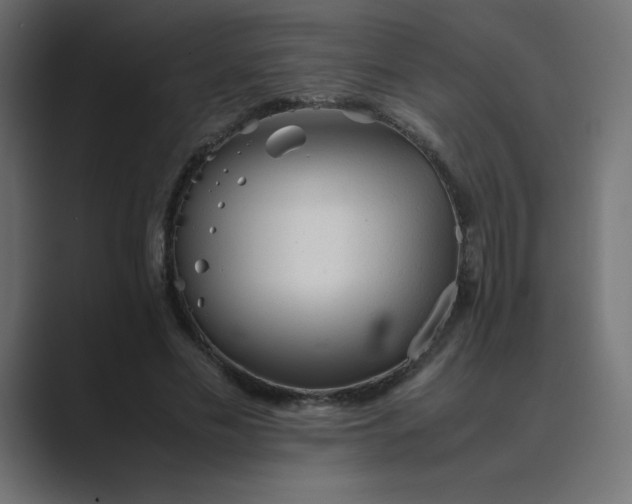 X0000089360589200706291043