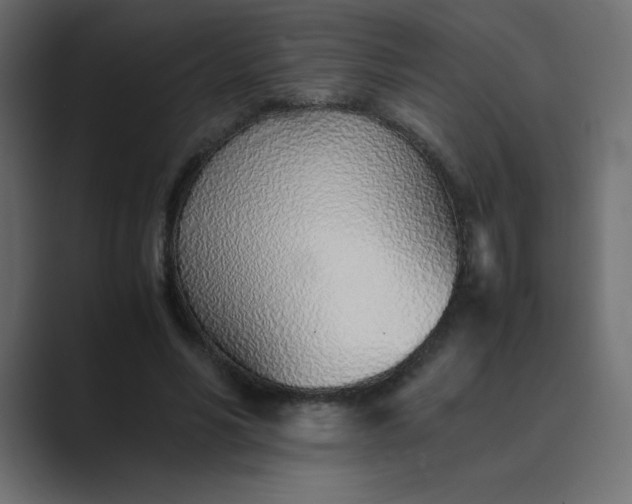 X0000089360590200706291043