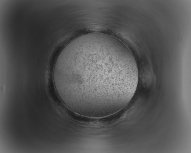 X0000089360591200706291043