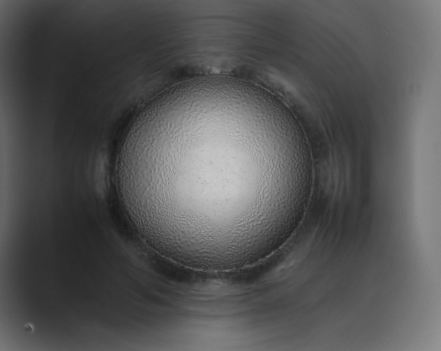 X0000089360594200706291043