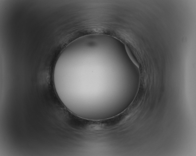 X0000089360595200706291043