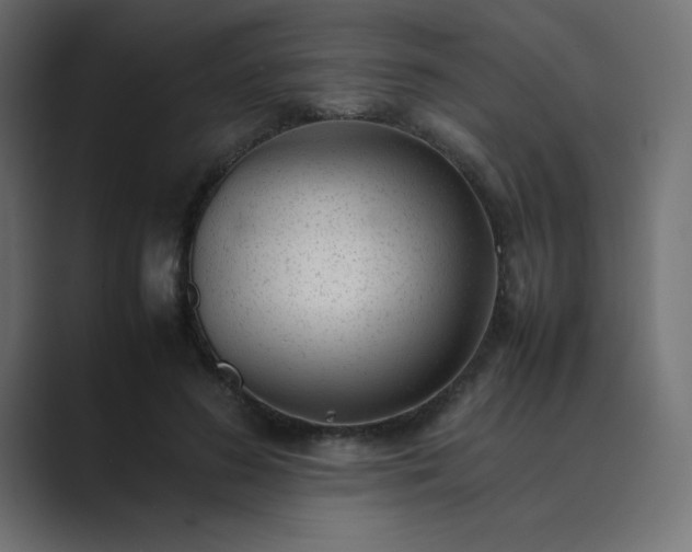 X0000089360596200706291043