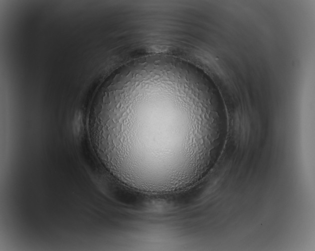 X0000089360598200706291043