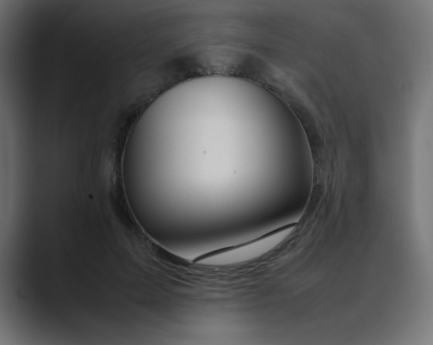 X0000089360599200706291043