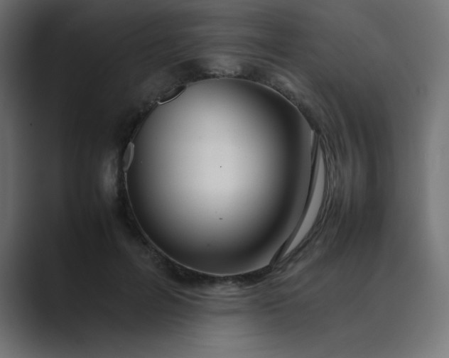 X0000089360600200706291043