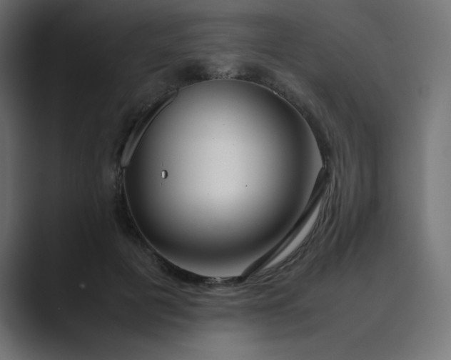 X0000089360601200706291043