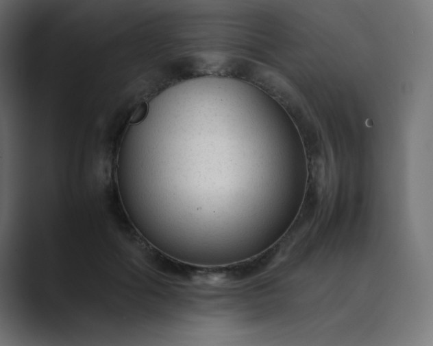 X0000089360602200706291043