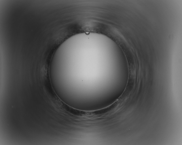 X0000089360603200706291043