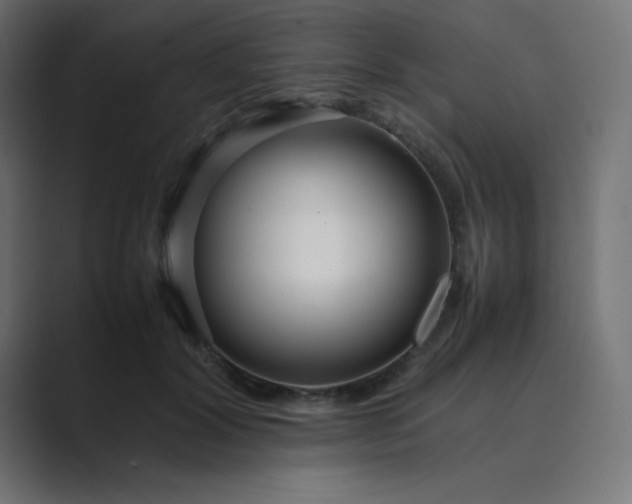 X0000089360604200706291043