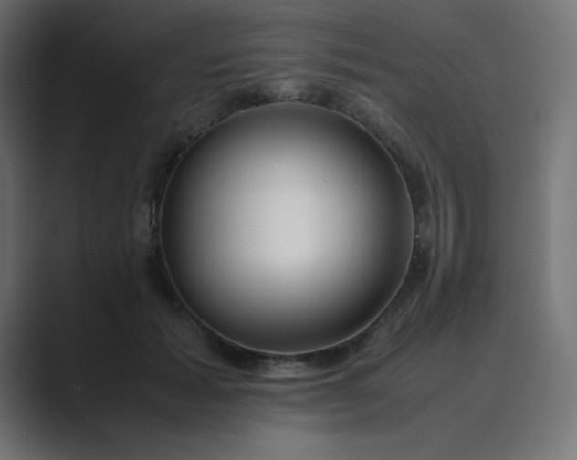 X0000089360605200706291043