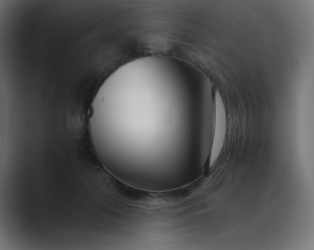 X0000089360608200706291043