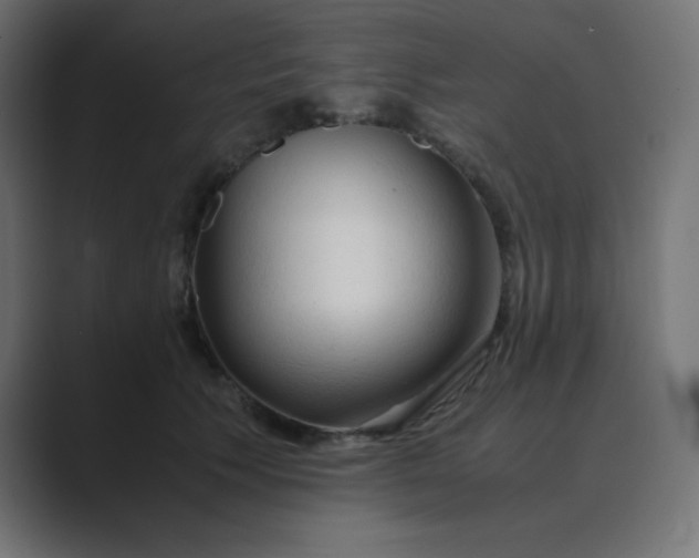 X0000089360609200706291043