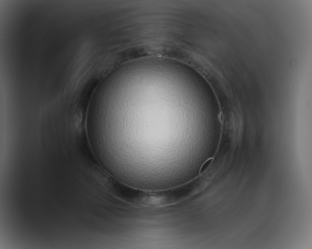 X0000089360610200706291043