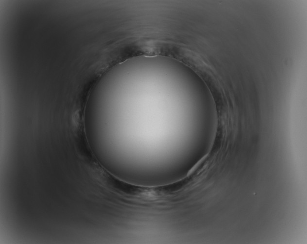 X0000089360611200706291043