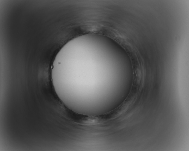 X0000089360612200706291043