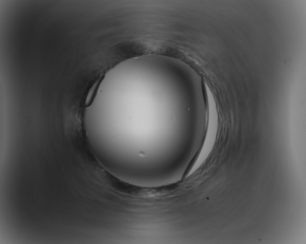 X0000089360613200706291043