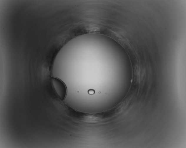 X0000089360614200706291043