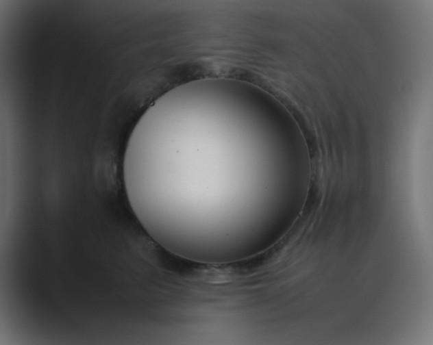 X0000089360615200706291043