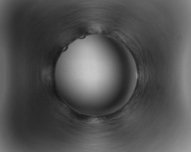 X0000089360616200706291043