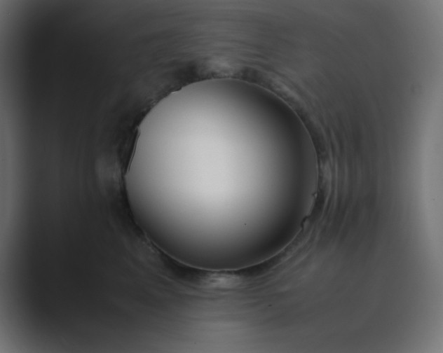 X0000089360617200706291043