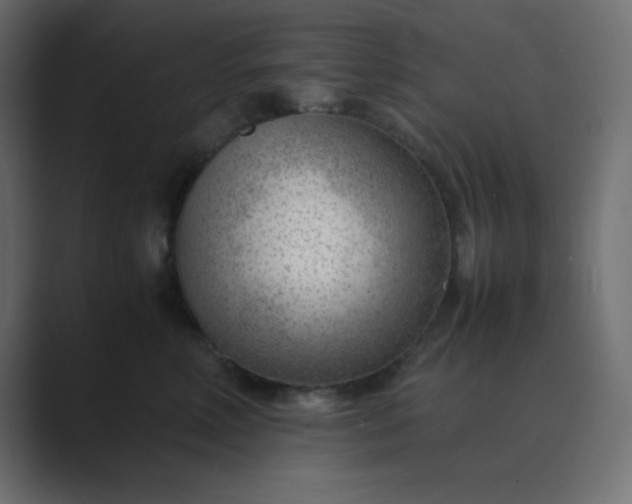 X0000089360618200706291043